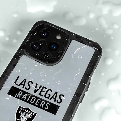 NFL Las Vegas Raiders Silver Performance Series iPhone 15 Pro Waterproof Case